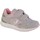 Sko Børn Lave sneakers Joma 6100 JR 2225 Grå, Pink