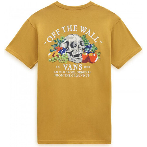 textil Herre T-shirts & poloer Vans Ground up ss tee Orange