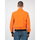 textil Herre Jakker Geox M2520D T2473 Orange