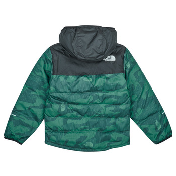 The North Face Boys Never Stop Synthetic Jacket Grøn