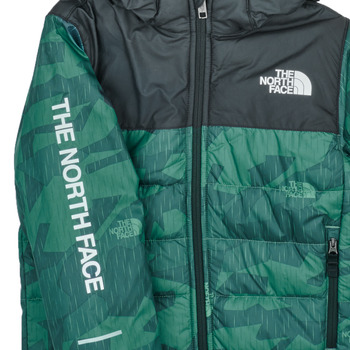 The North Face Boys Never Stop Synthetic Jacket Grøn