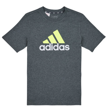 textil Dreng T-shirts m. korte ærmer Adidas Sportswear BL 2 TEE Grå / Hvid / Grøn