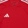 textil Børn T-shirts m. korte ærmer adidas Performance TIRO 23 JSY Y Rød / Hvid