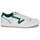 Sko Herre Lave sneakers Vans Lowland CC JMP R COURT Hvid / Grøn