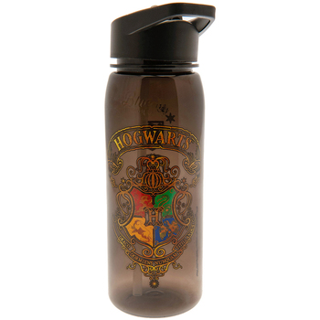 Indretning Flasker Harry Potter  Flerfarvet
