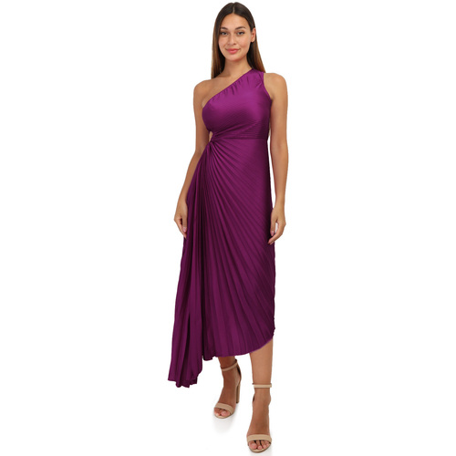 textil Dame Lange kjoler La Modeuse 67115_P156034 Violet