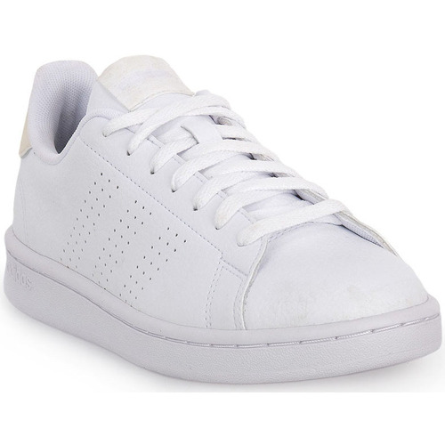 Sko Dame Sneakers adidas Originals ADVANTAGE Hvid
