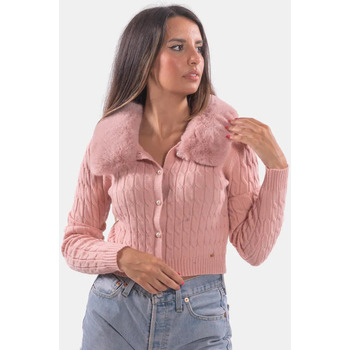 textil Dame Sweatshirts Fracomina FR23WT8009K46001 Pink