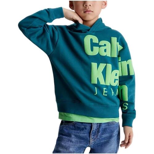 textil Dreng Sweatshirts Calvin Klein Jeans  Grøn