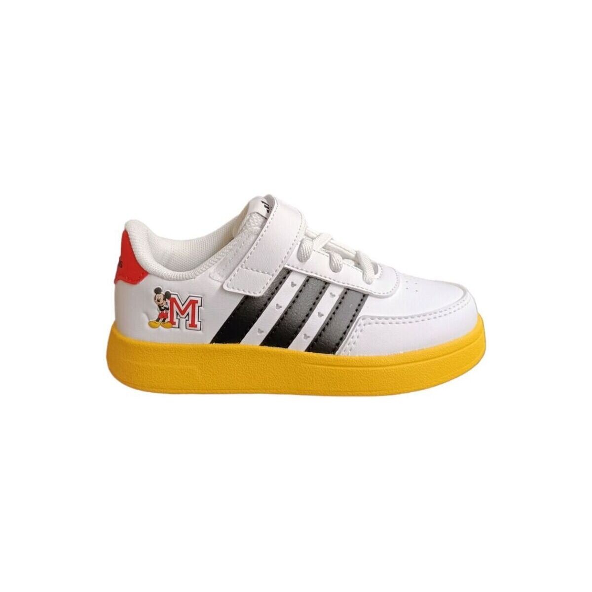 Sko Børn Sneakers adidas Originals BREAKNET MICKEY Flerfarvet