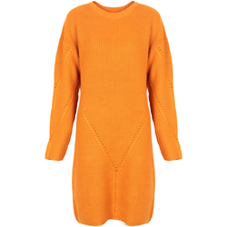 textil Dame Korte kjoler Silvian Heach PGA22285VE Orange
