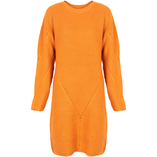 textil Dame Korte kjoler Silvian Heach PGA22285VE Orange