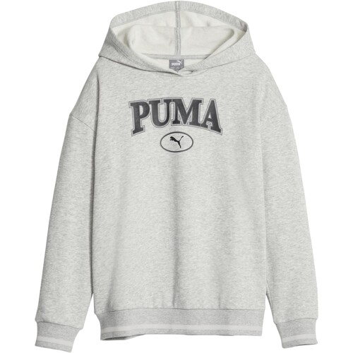 textil Pige Sweatshirts Puma 219652 Grå