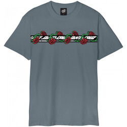 textil Herre T-shirts & poloer Santa Cruz Dressen roses ever-slick Grå