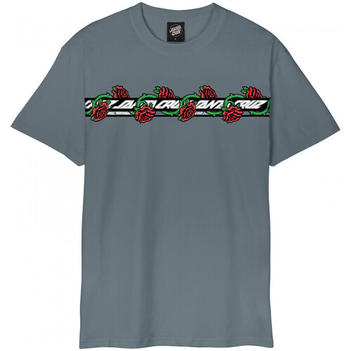 textil Herre T-shirts & poloer Santa Cruz Dressen roses ever-slick Grå