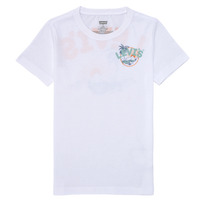 textil Dreng T-shirts m. korte ærmer Levi's SCENIC SUMMER TEE Flerfarvet / Hvid