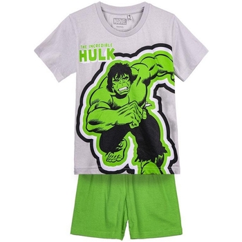 textil Dreng Pyjamas / Natskjorte Hulk 2900001331B Grå