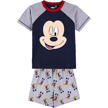 textil Dreng Pyjamas / Natskjorte Disney 2200008873 Grå