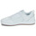 Sko Herre Lave sneakers DC Shoes TRANSIT Hvid / Gummi