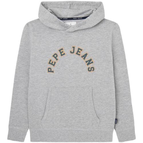 textil Dreng Sweatshirts Pepe jeans  Grå