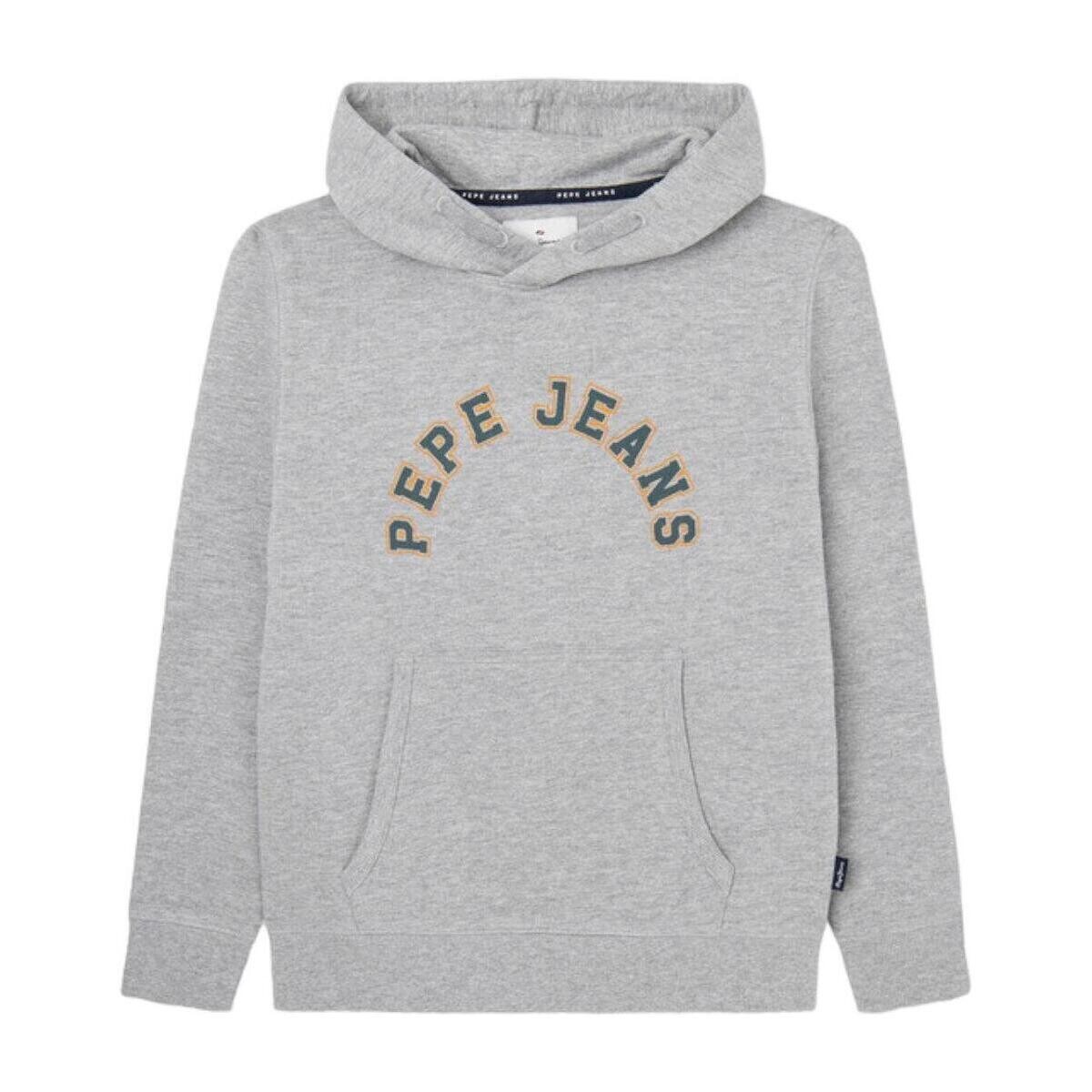 textil Dreng Sweatshirts Pepe jeans  Grå