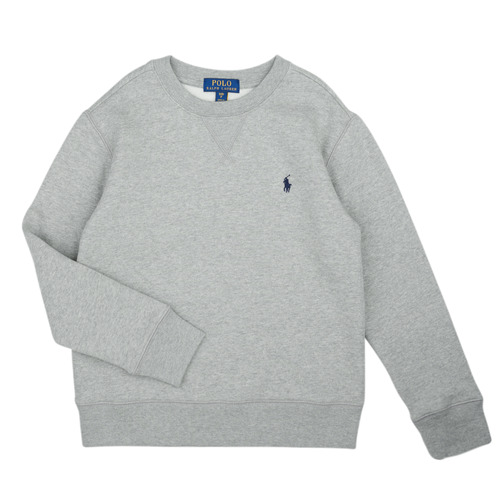 textil Børn Sweatshirts Polo Ralph Lauren LS CN-TOPS-KNIT Grå