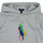textil Børn Sweatshirts Polo Ralph Lauren PO HOOD-KNIT SHIRTS-SWEATSHIRT Grå