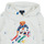 textil Børn Sweatshirts Polo Ralph Lauren BEAR PO HOOD-KNIT SHIRTS-SWEATSHIRT Hvid / Flerfarvet