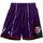 textil Herre Shorts Mitchell And Ness  Violet