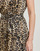 textil Dame Korte kjoler Guess SL ROMANA FLARE Leopard