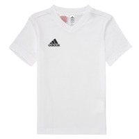 textil Børn T-shirts m. korte ærmer adidas Performance ENT22 TEE Y Hvid / Sort
