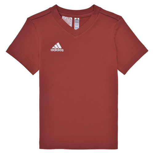 textil Dreng T-shirts m. korte ærmer adidas Performance ENT22 TEE Y Rød