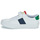 Sko Børn Lave sneakers Polo Ralph Lauren RYLEY PS Hvid / Flerfarvet