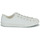 Sko Dame Lave sneakers Converse CHUCK TAYLOR ALL STAR DAINTY MONO WHITE Hvid