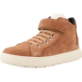 Sko Pige Lave sneakers Geox J THELEVEN WPF C Brun