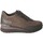 Sko Dame Sneakers Stonefly 220679 11F Brun