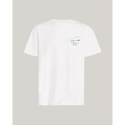 textil Herre T-shirts m. korte ærmer Tommy Hilfiger DM0DM18283 Hvid