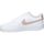 Sko Dame Multisportsko Nike DH3158-102 Hvid