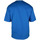 textil Herre T-shirts & poloer Balenciaga  Blå