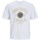 textil Herre T-shirts m. korte ærmer Jack & Jones 12251899 JORLUCCA Hvid