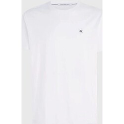 textil Herre T-shirts m. korte ærmer Calvin Klein Jeans J30J325268 Hvid