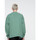 textil Herre Sweatshirts Santa Cruz Classic label crew Grøn