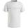 textil Dreng T-shirts m. korte ærmer Calvin Klein Jeans  Hvid