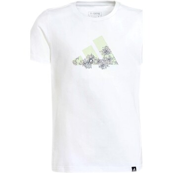 textil Dreng T-shirts m. korte ærmer adidas Originals CAMISETA NIA  TRAIN TEE IM8381 Hvid