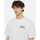 textil Herre T-shirts & poloer Dickies Aitkin chest tee ss Hvid