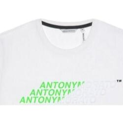 textil Herre T-shirts m. korte ærmer Antony Morato  Hvid