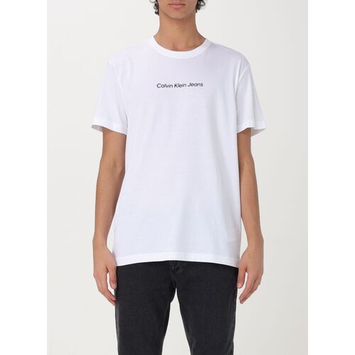 textil Herre T-shirts & poloer Calvin Klein Jeans J30J324646 YAF Hvid