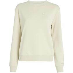 textil Dame Sweatshirts Calvin Klein Jeans  Grøn