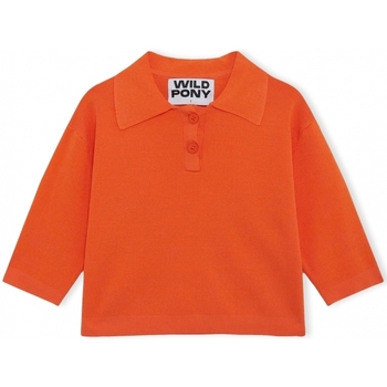 textil Dame Pullovere Wild Pony Knit 10604 - Orange Orange