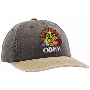 Accessories Herre Kasketter Obey Pigment fruits 6 panel snapbac Sort